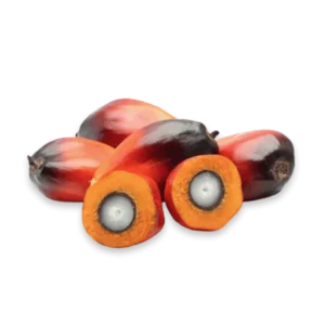 Catania RSPO Palm Oil